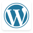 Wordpress Designers